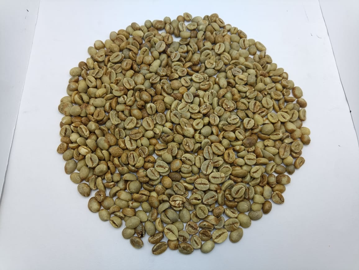 Robusta Coffee Grade 1 Green Bean
