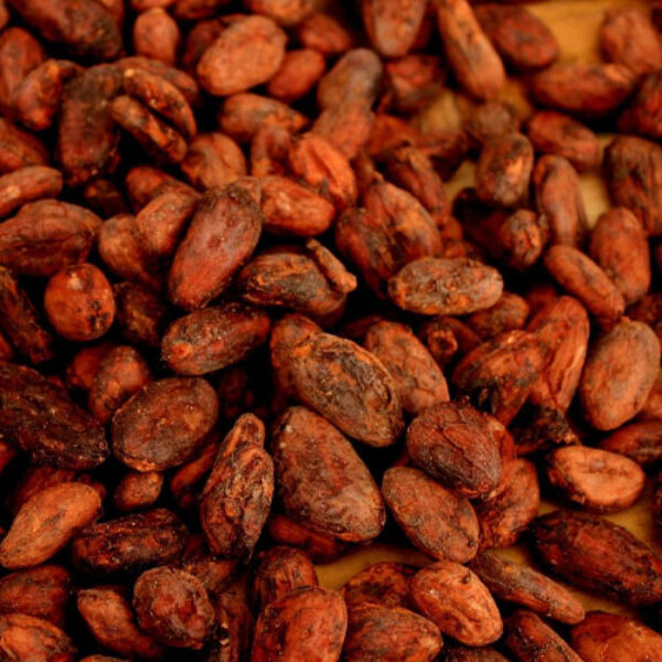 Unfermented Cocoa Beans